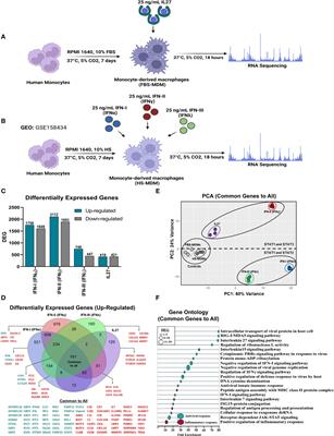 Interleukin 27, like interferons, activates JAK-STAT signaling and promotes pro-inflammatory and antiviral states that interfere with dengue and chikungunya viruses replication in human macrophages